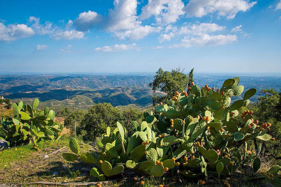 To Nejlepší Ze Sesimbry + Nejkrásnější Stezka Algarve + Tradiční Kuchyně Regionu