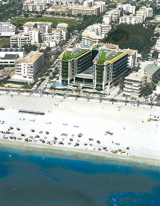 Kaktus Albir