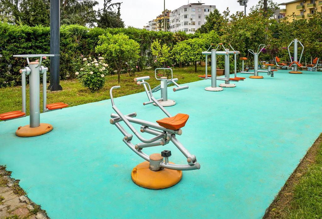 Kleopatra Royal Palm