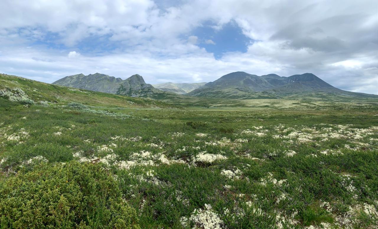 Vodopády, Ledovce A Fjordy Norska