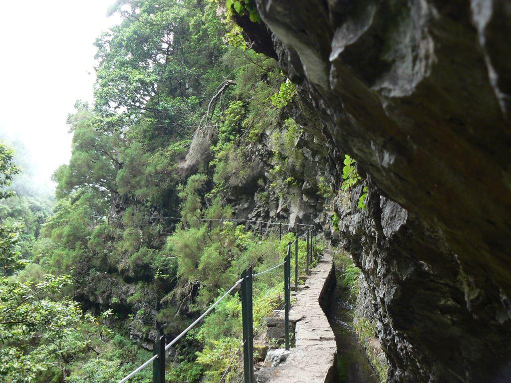 Madeira - poznávání a turistika ostrovem věčného jara (8 dní)