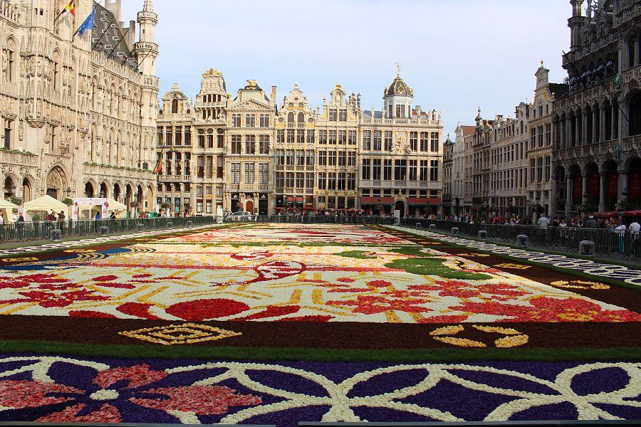 To Nejlepší Z Belgie + Květinový Koberec + Waterloo