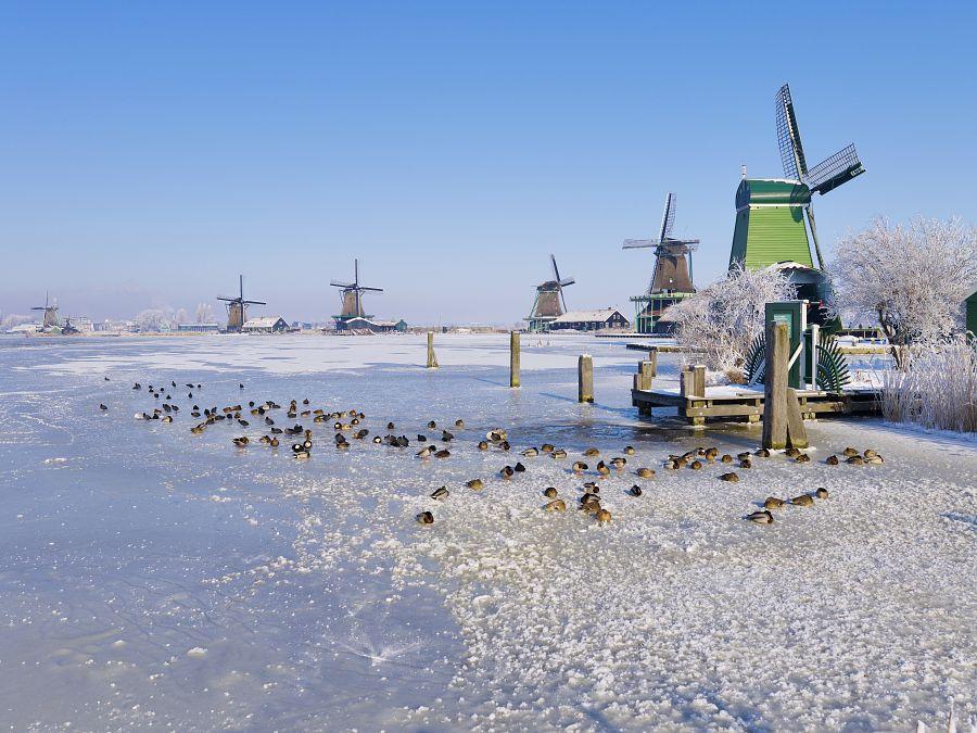 Adventní Amsterdam + ZAANSE SCHANS + HAAG