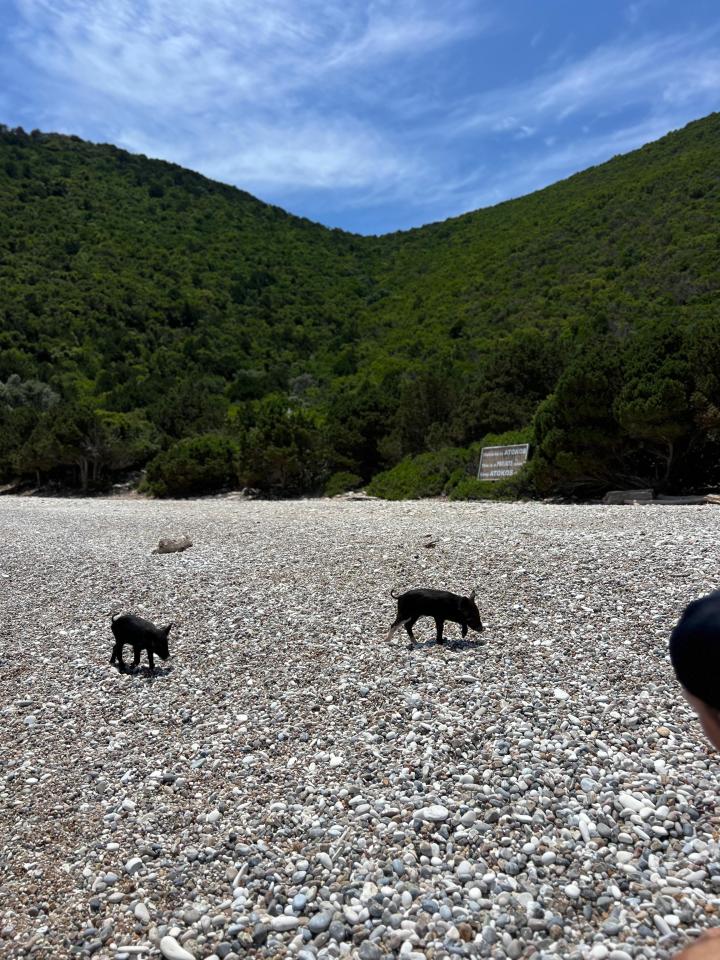 DOVOLENÁ NA JACHTĚ - Lefkáda a okolní Jónské ostrovy