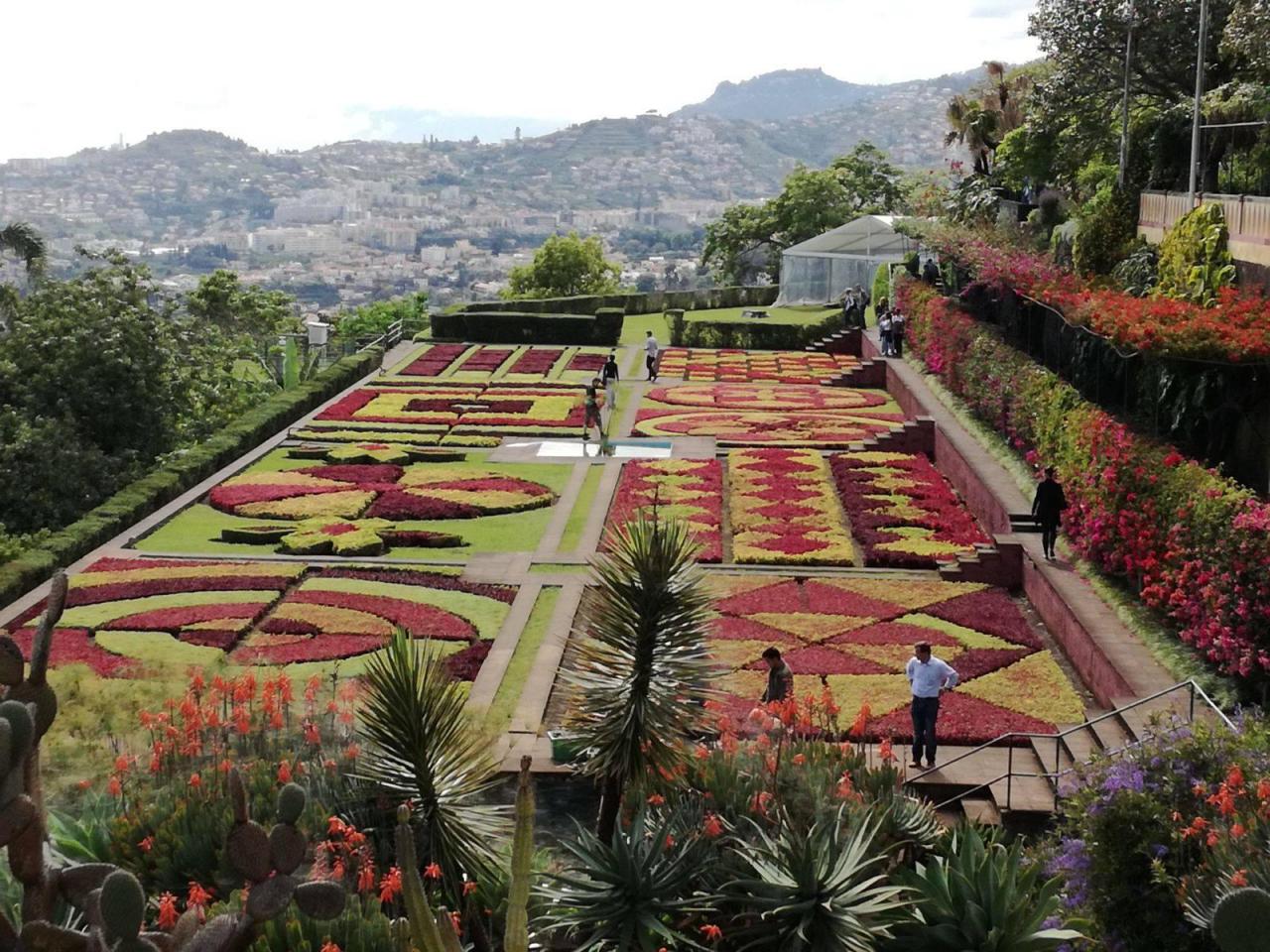 Květinový ostrov Madeira