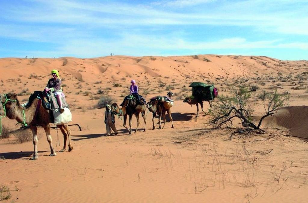 Okruh Saharou na velbloudech