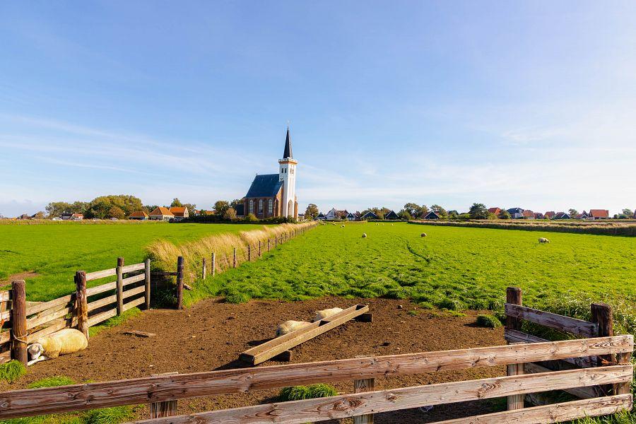 To Nejlepší Z Amsterdamu + Projížďka Po Ostrově Texel + Tradiční Sýrové Trhy (Le