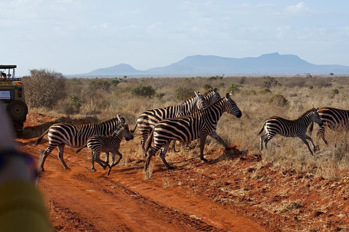 2 Dny Safari Tsavo East + Neptune Paradise