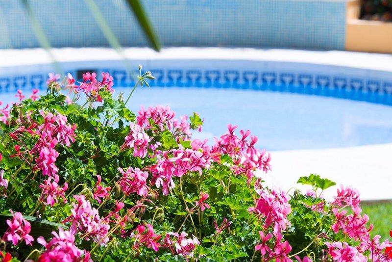 Monarque Torreblanca