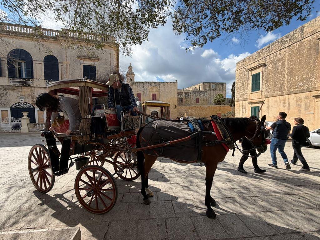 Barevná MALTA – ostrov rytířů, megalitů a azurového moře