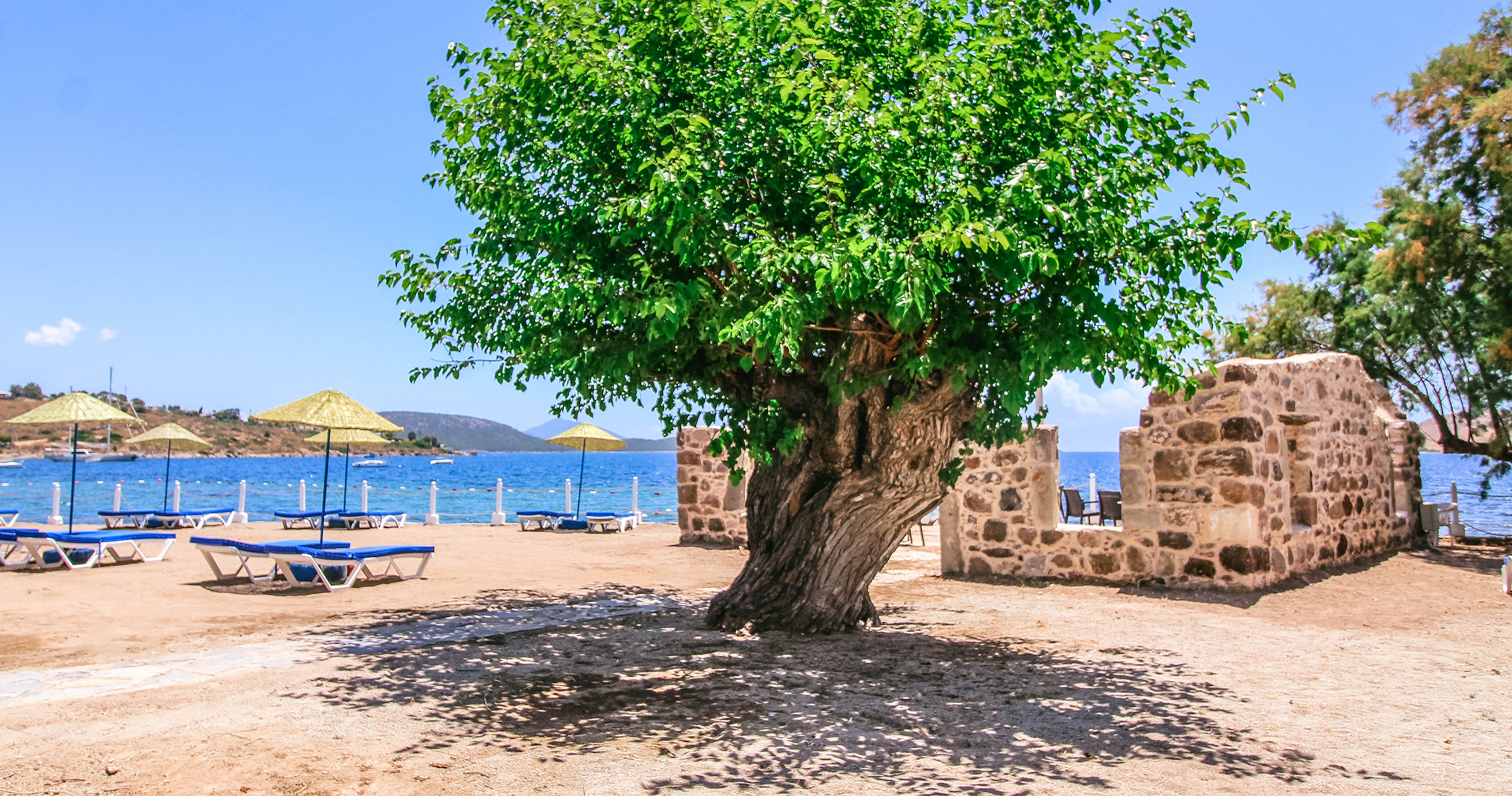Hotel Club Muskebi