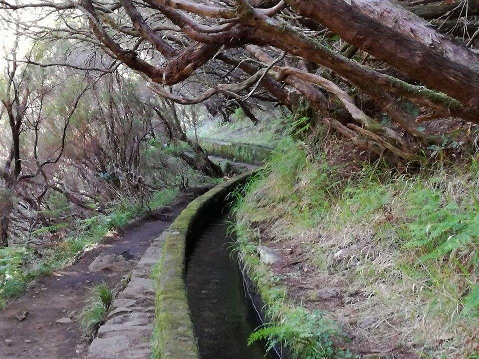Květinový ostrov Madeira