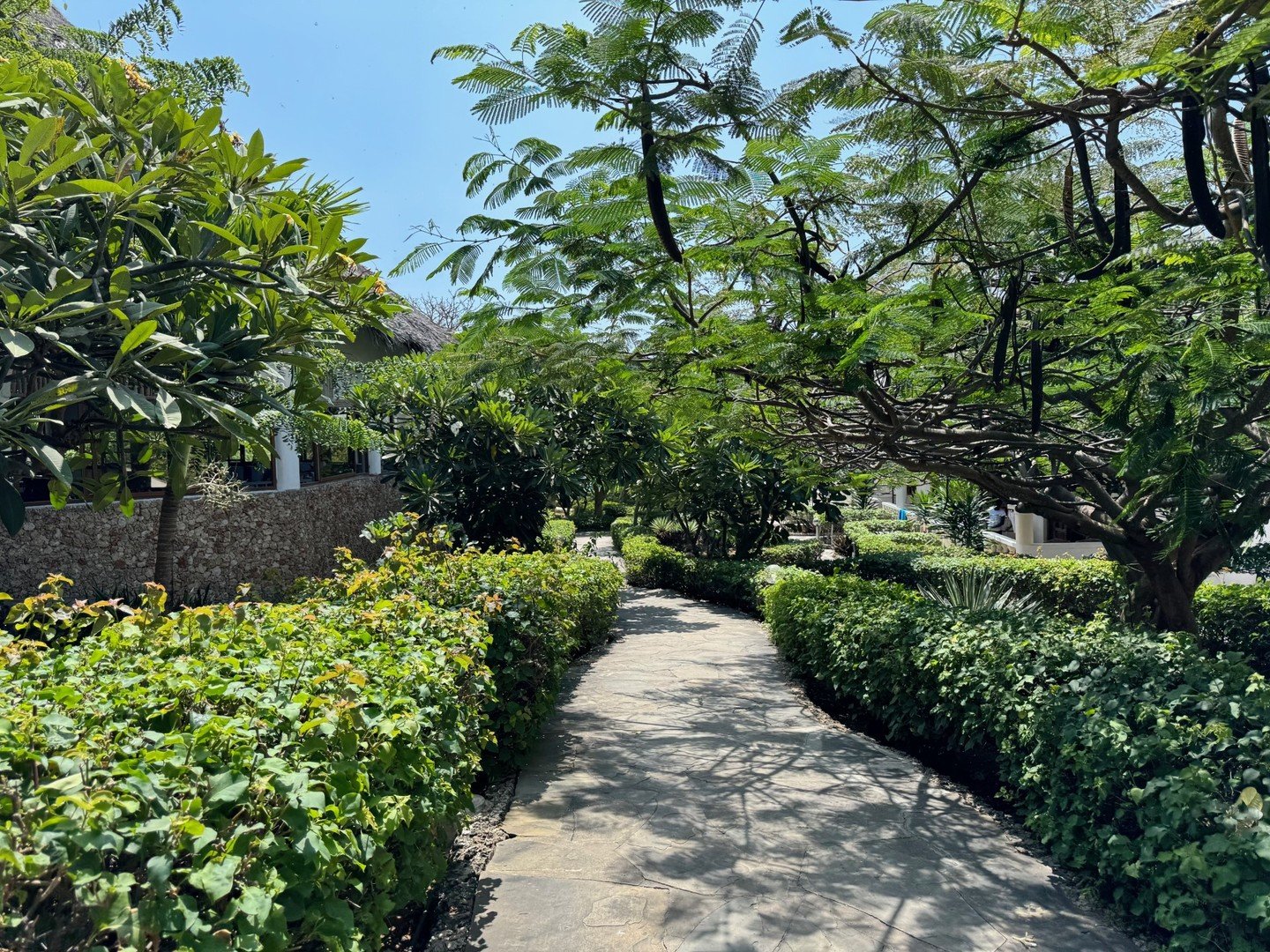 Jumbo Resort Watamu