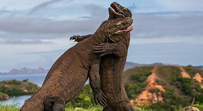 Indonésie - Bali, Lombok, Sulawesi / Bali - hotel Pobytově Bali + Komodo****