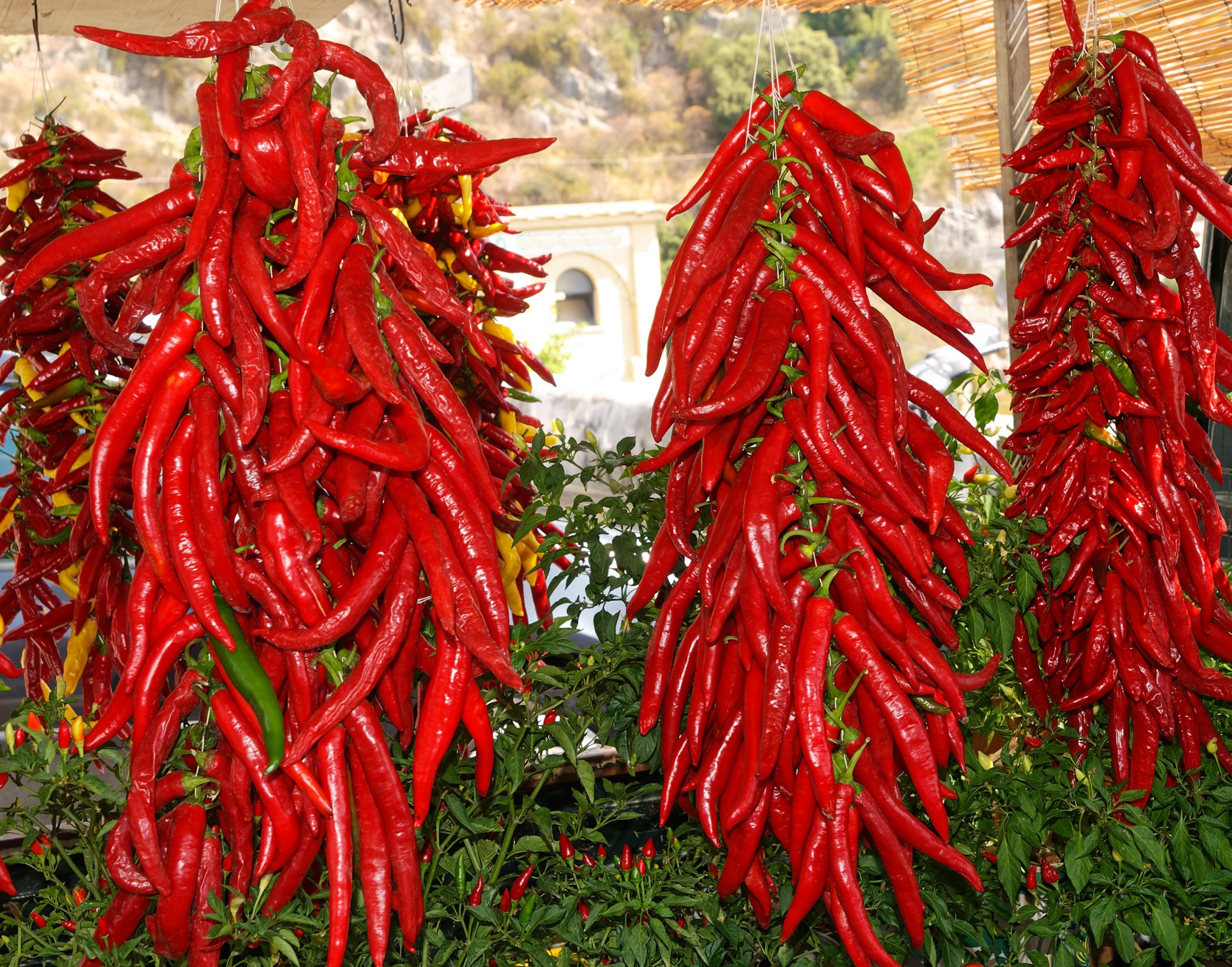 To nejlepší z Kampánie - Neapol, Capri, Sorrento, Amalfi