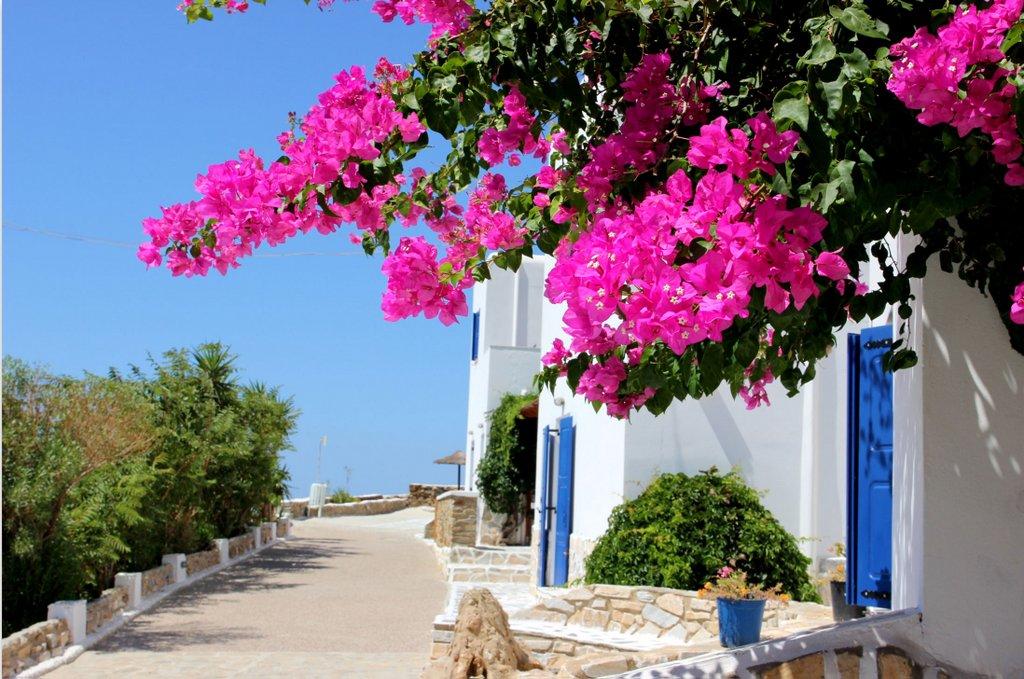 Skala
