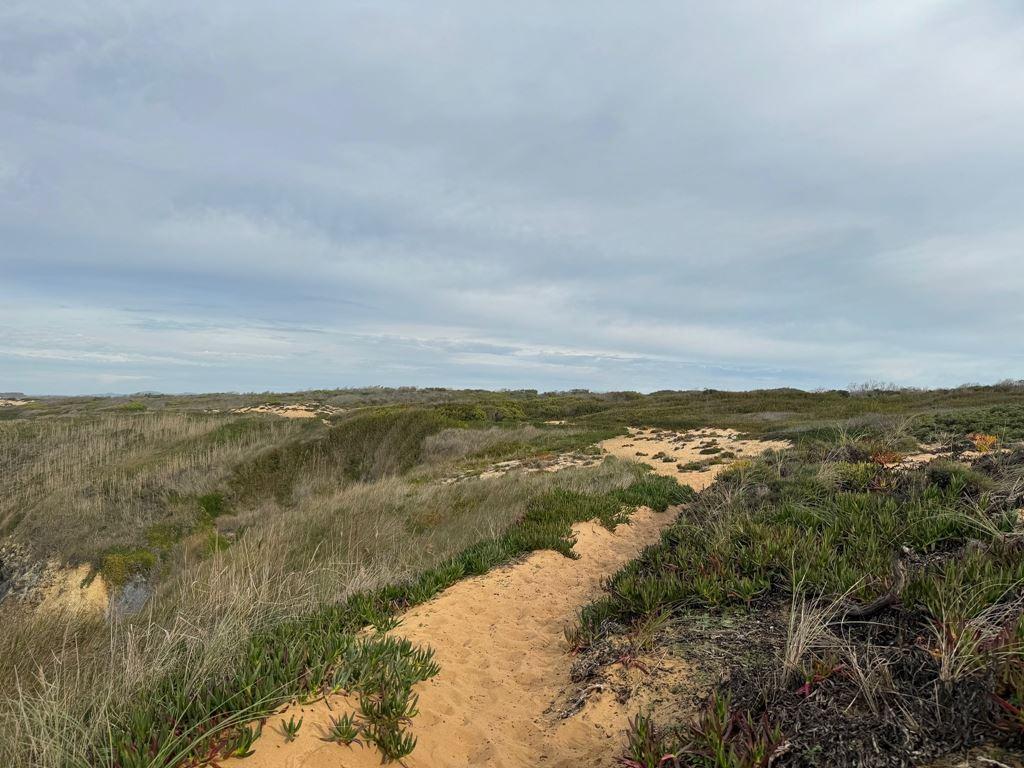 Rota Vicentina: turistika jižním Portugalskem
