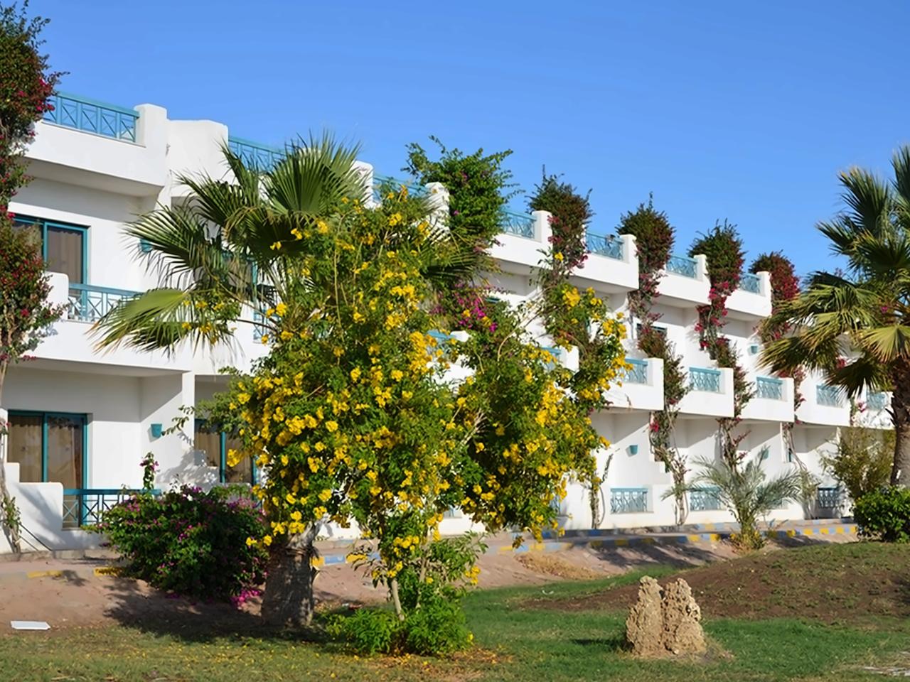 Sharm Cliff