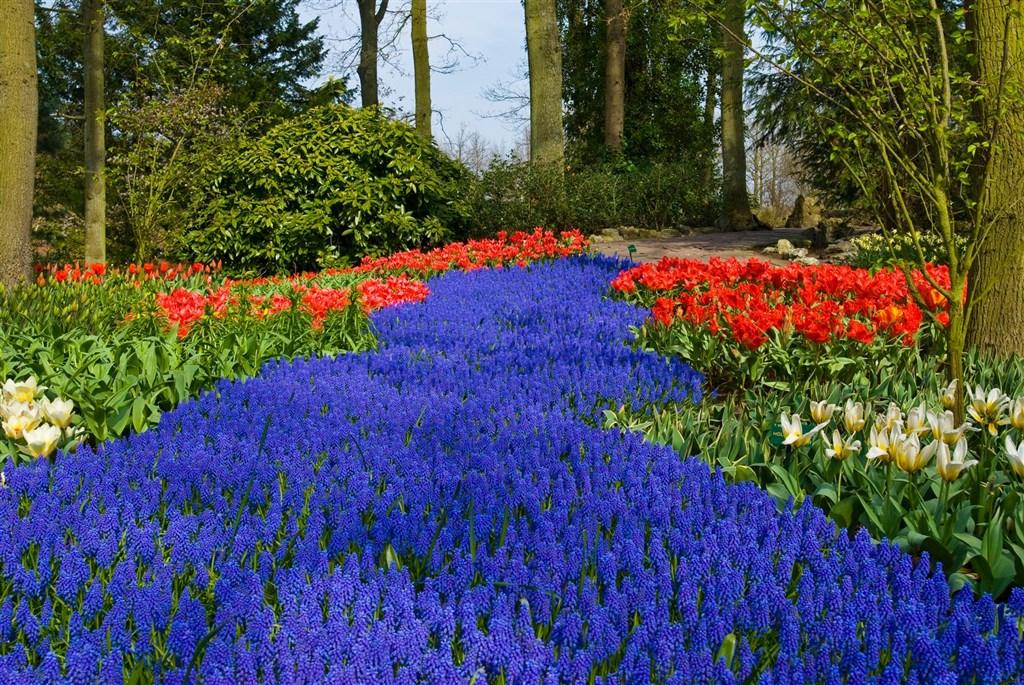 Holandsko – Jarní Keukenhof A Amsterdam, Letecky