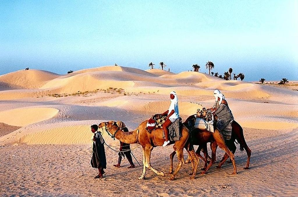 Okruh Saharou na velbloudech