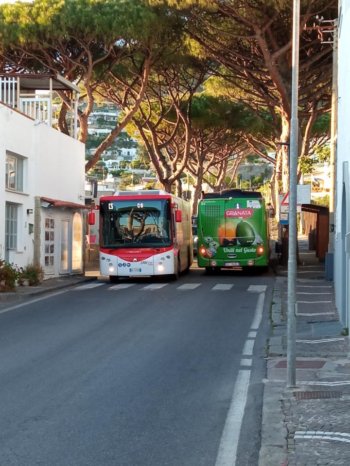 Casa Nicola