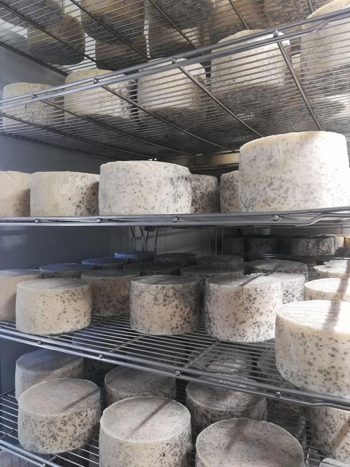 To Nejlepší Z Bilbaa + Starobylá Vitoria + Gastronomie A Tradice Basků