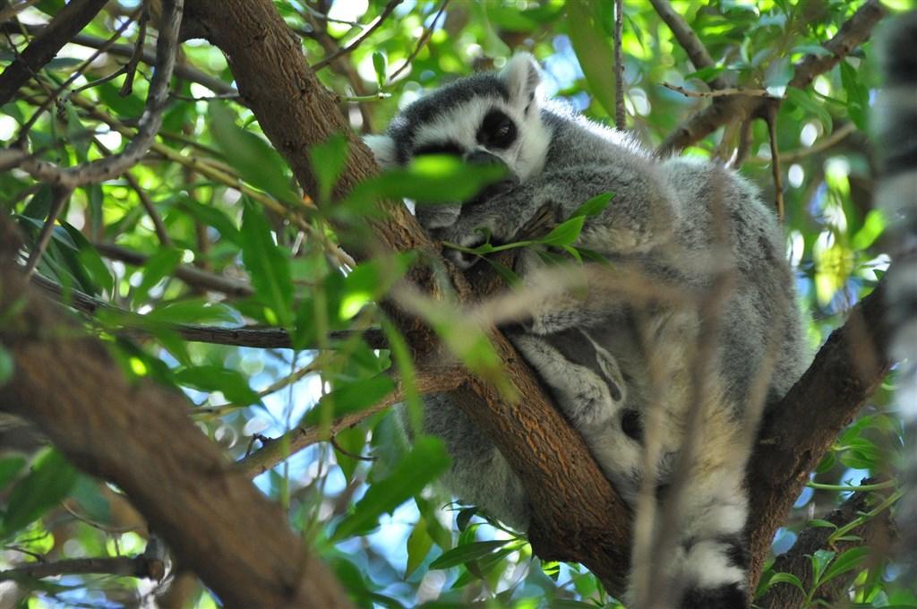 Valencie – Město Historie, Moře A Budoucnosti