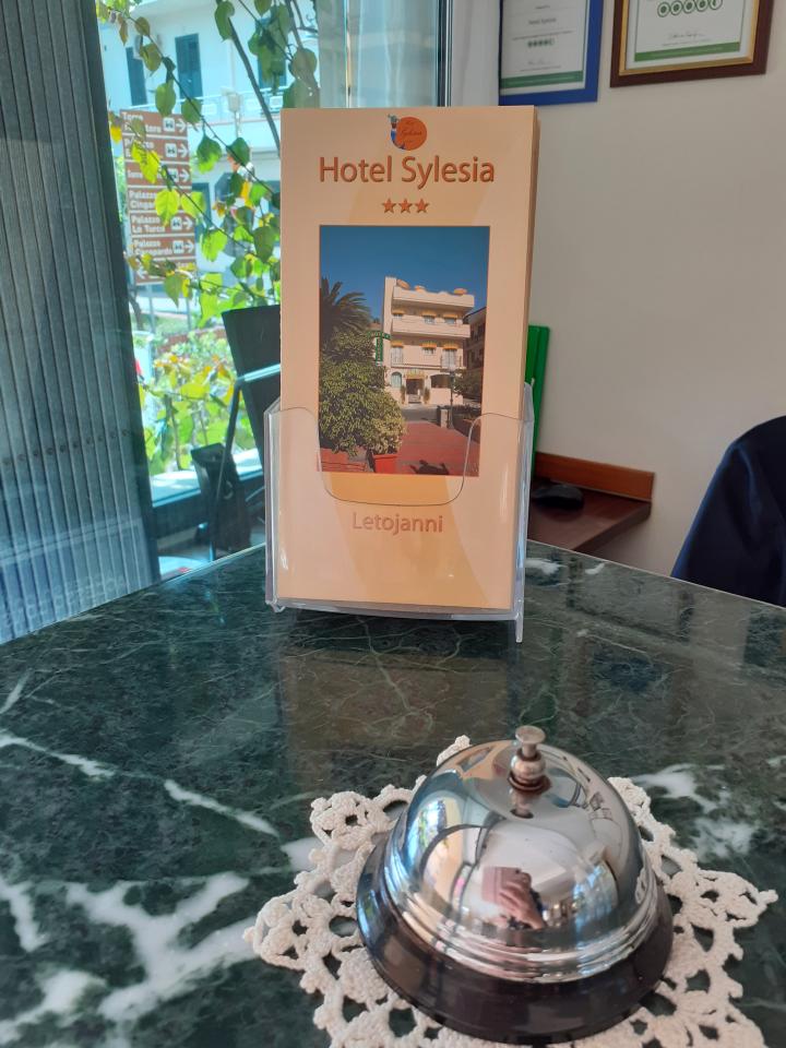 Sylesia