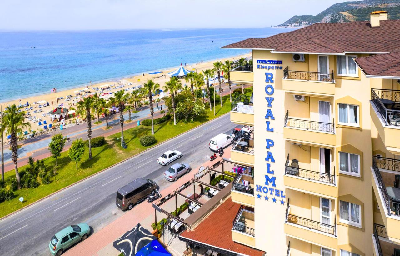 Kleopatra Royal Palm