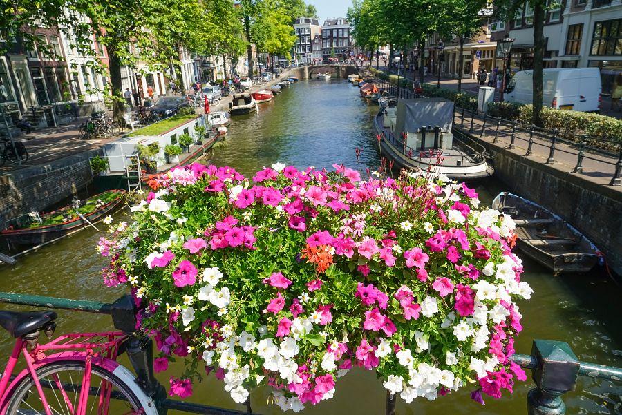 To nejlepší z Amsterdamu + KVĚTINOVÁ ZAHRADA KEUKENHOF