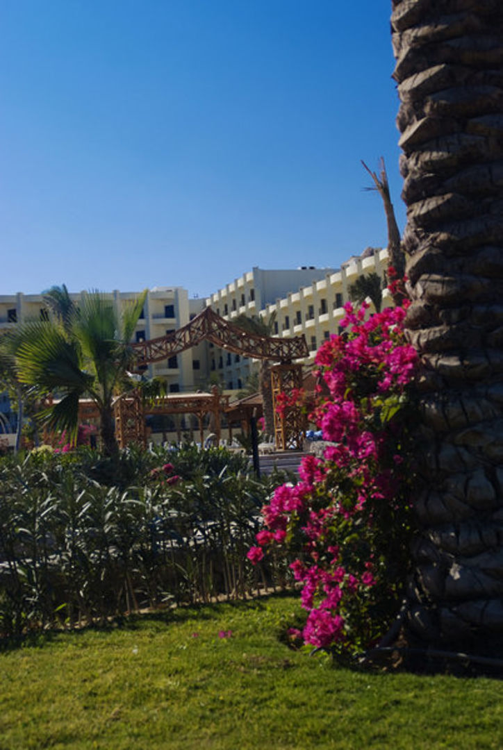 Hawaii Le Jardin Aqua Park Resort Hurghada – fotka 2