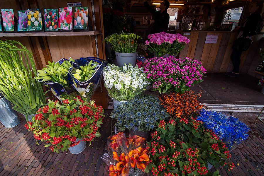 To nejlepší z Amsterdamu + Giethoorn + národní park (letecky z Prahy)