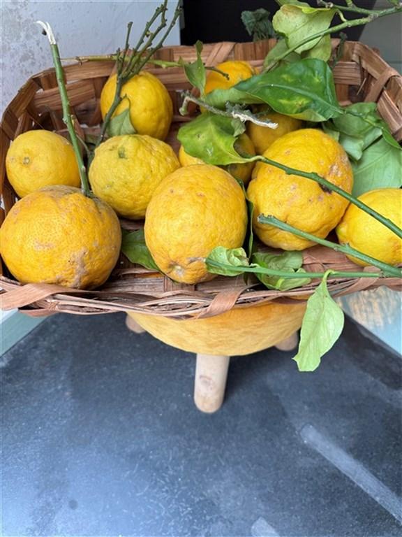 Ischie, Capri, Procida - 3 Sirény Neapolského zálivu