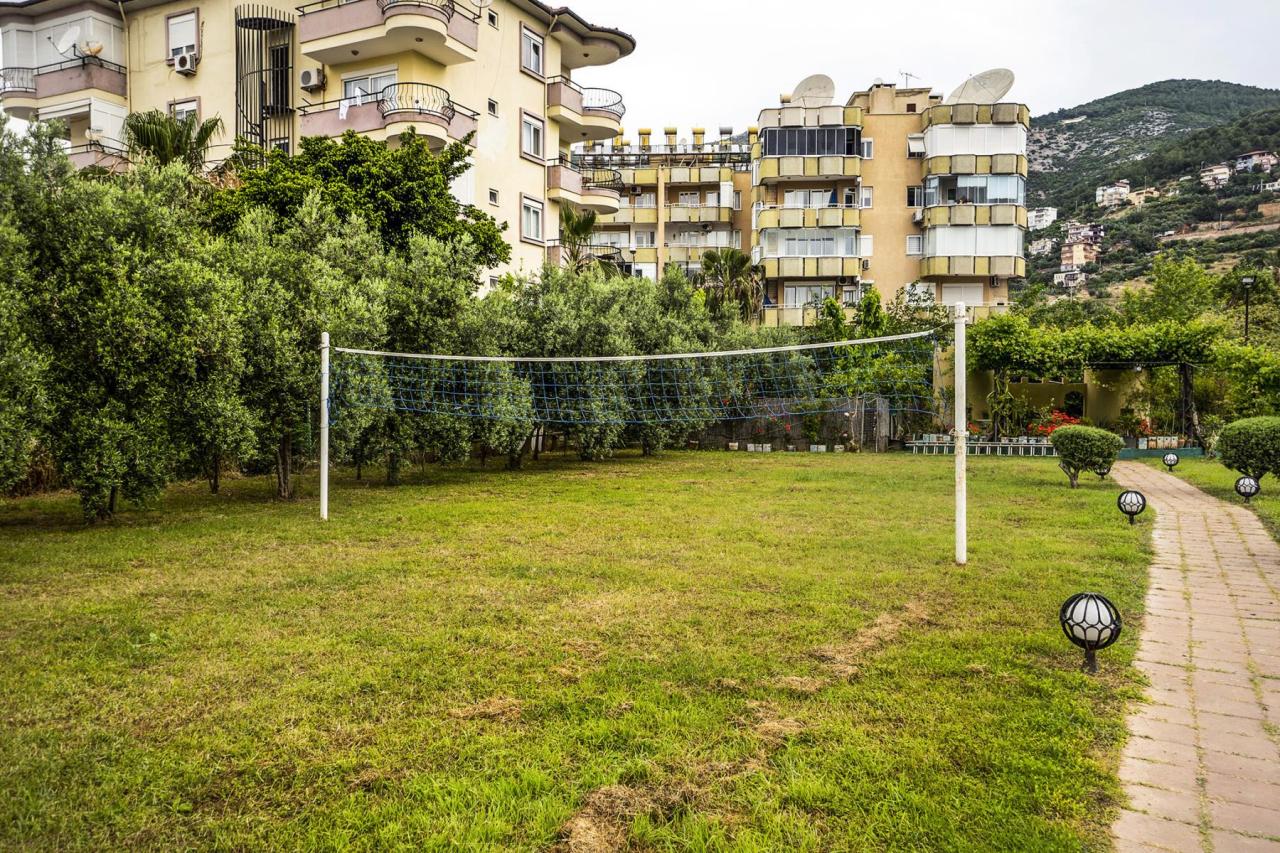 Kleopatra Royal Palm