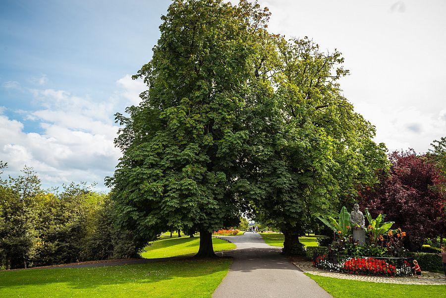 To Nejlepší Z Dublinu + Glendalough + Powerscourt