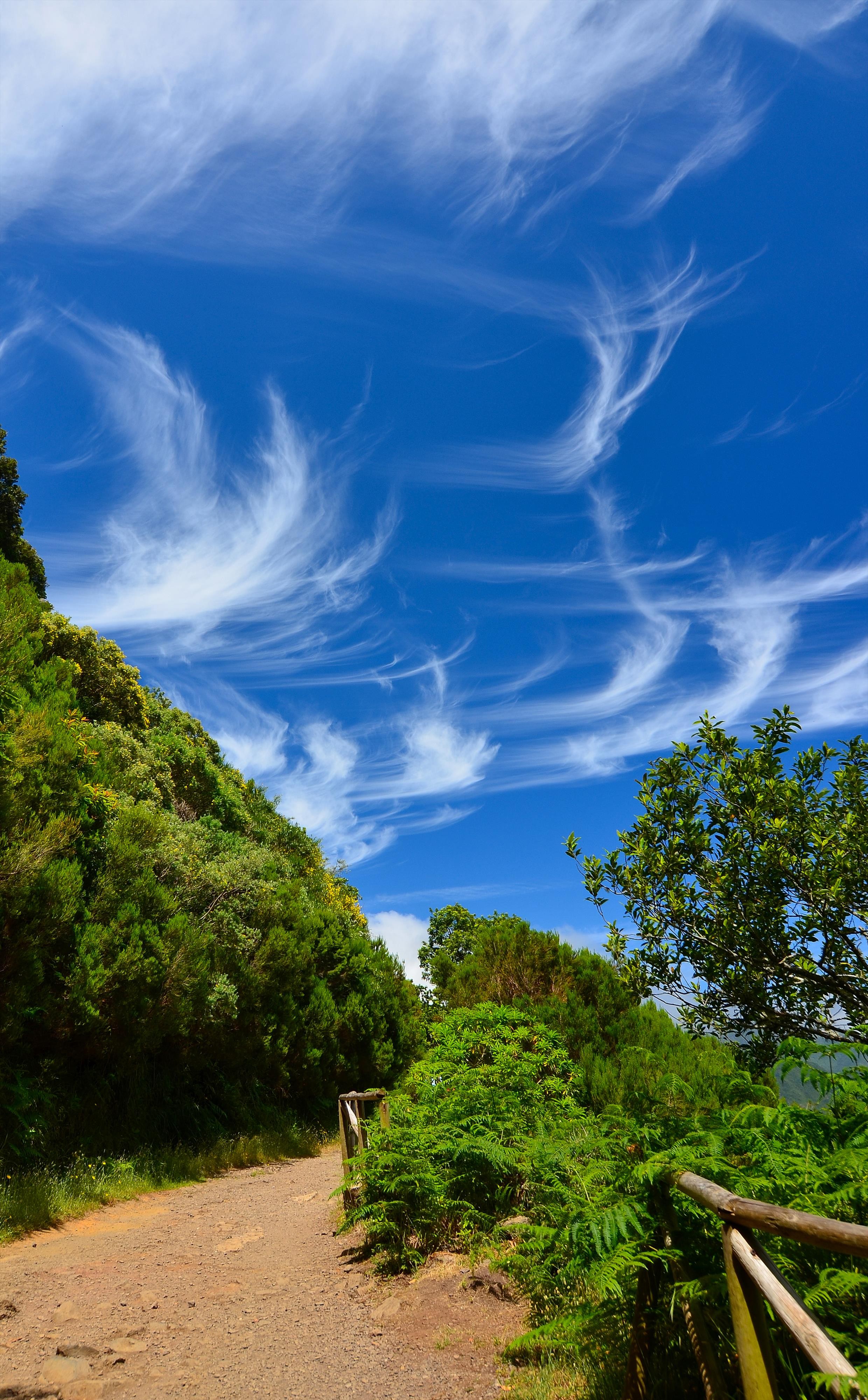 Madeira, místa známá i neznámá - trekking