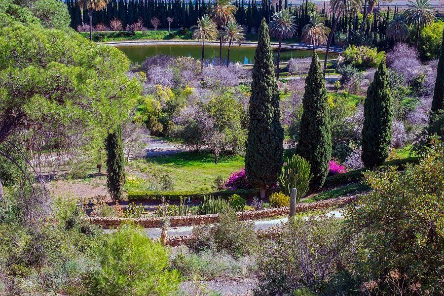 Adventní Málaga + Vánoční Světelná Botanická Zahrada