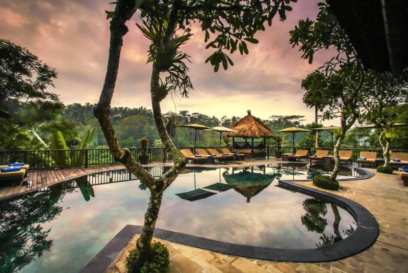 Nandini Jungle Resort & Spa – fotka 3