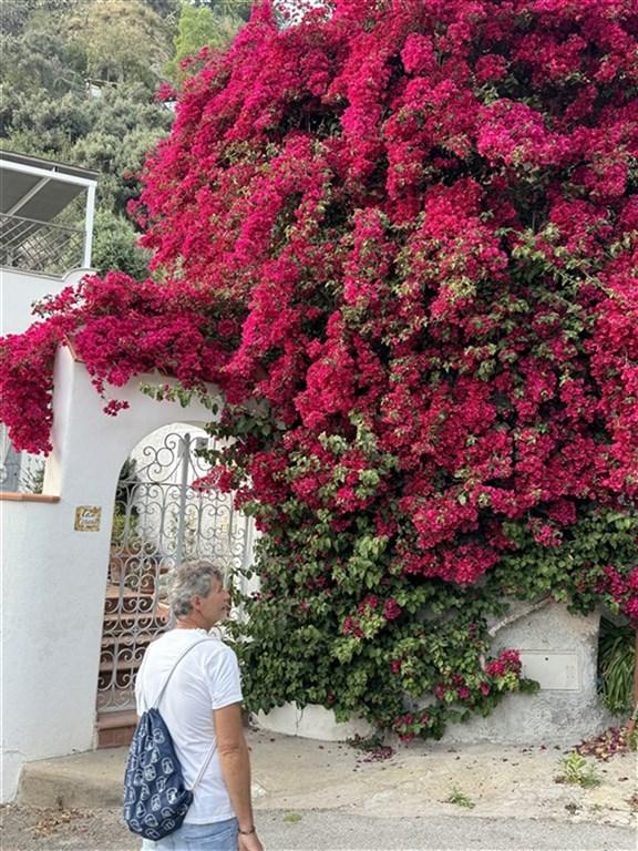 Ischie, Capri, Procida - 3 Sirény Neapolského zálivu