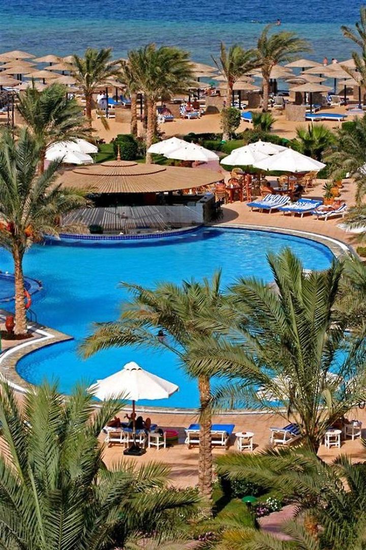 Sea Star Beau Rivage