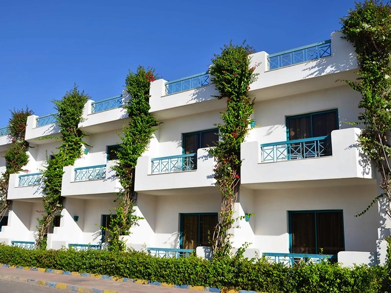 Sharm Cliff