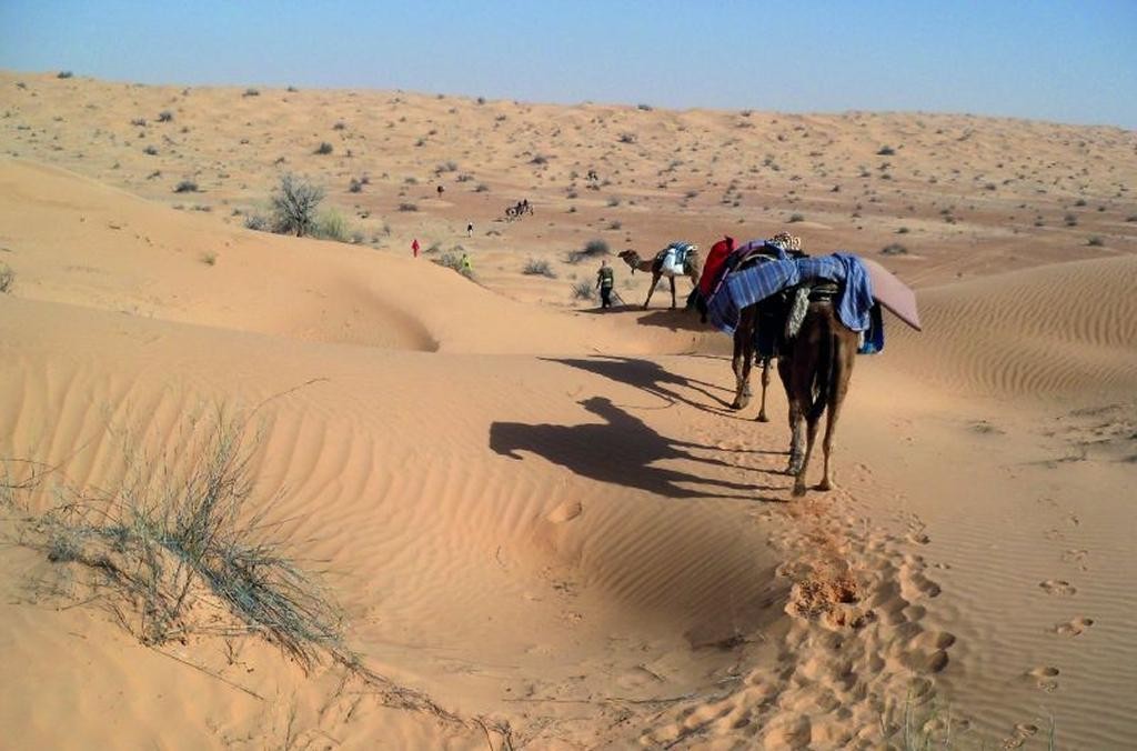 Okruh Saharou na velbloudech