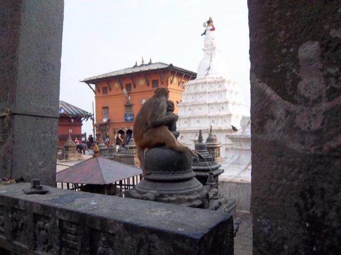 Kathmandu, Pokhara a štíty Himalájí