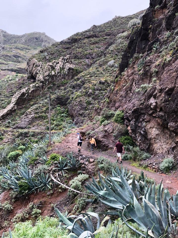Kanárské ostrovy Tenerife a La Gomera