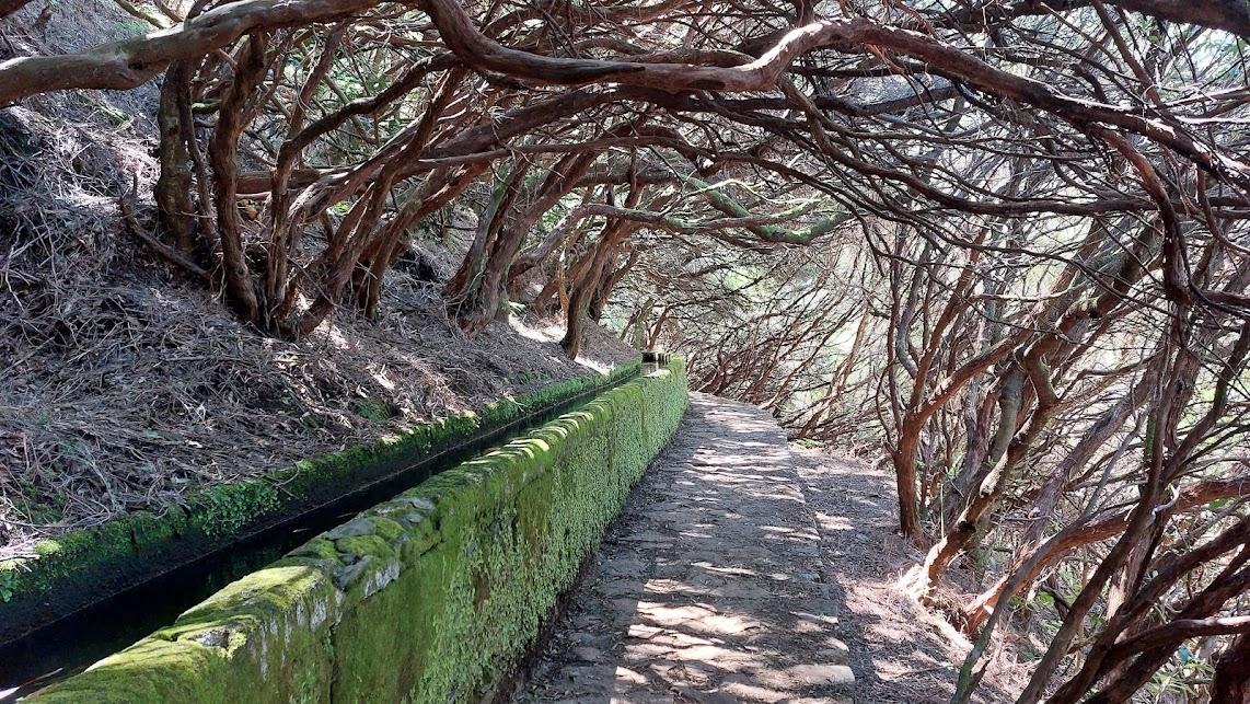Květinový ostrov Madeira