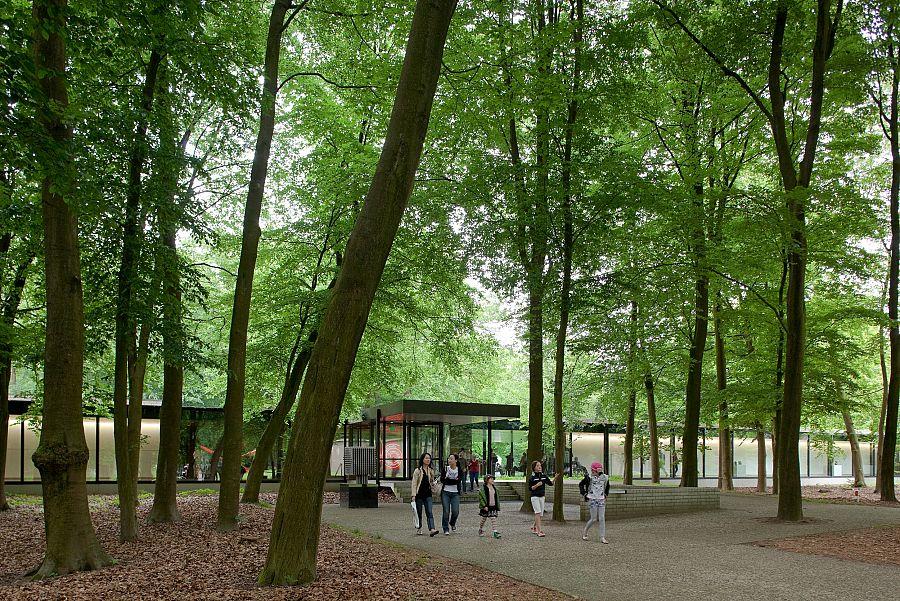 Královské Holandsko + Významné Umělecké Sbírky + Moderní Rotterdam (Letecky Z Pr