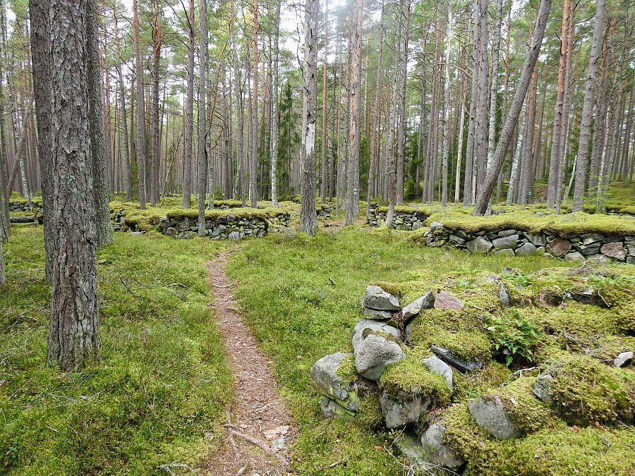 To Nejlepší Z Tallinu + Stockholm + Sovětská Minulost Ostrova Naissaar