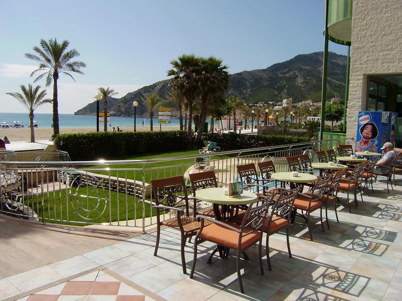 Kaktus Albir