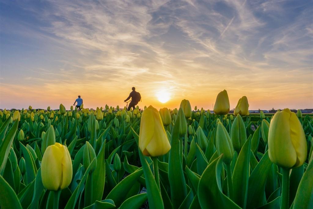 Holandsko – Jarní Keukenhof A Amsterdam, Letecky